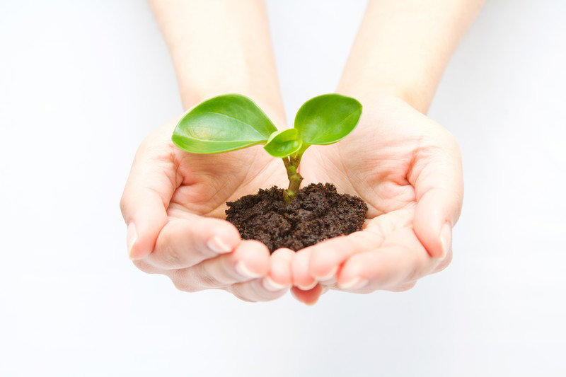 捨てる前に買取ってもらおう！